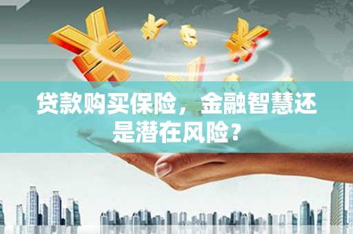 韶关贷款购买保险，金融智慧还是潜在风险？