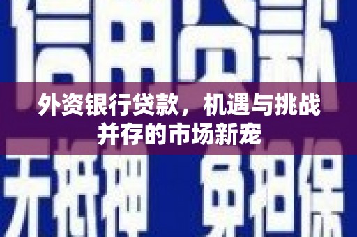 八德外资银行贷款，机遇与挑战并存的市场新宠