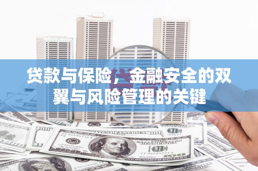 萨嘎贷款与保险，金融安全的双翼与风险管理的关键