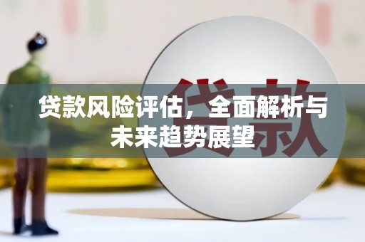 湖内贷款风险评估，全面解析与未来趋势展望