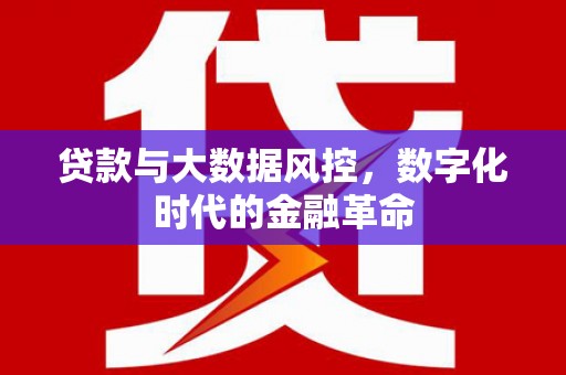 红星贷款与大数据风控，数字化时代的金融革命