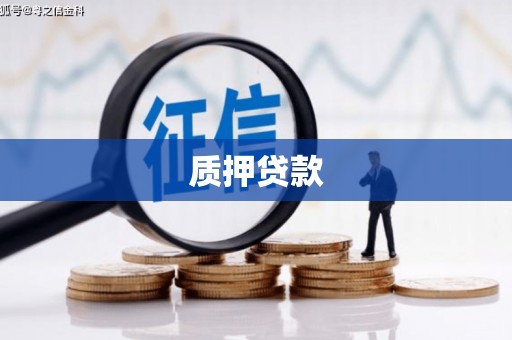 官渡质押贷款