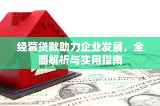 淮阳经营贷款助力企业发展，全面解析与实用指南