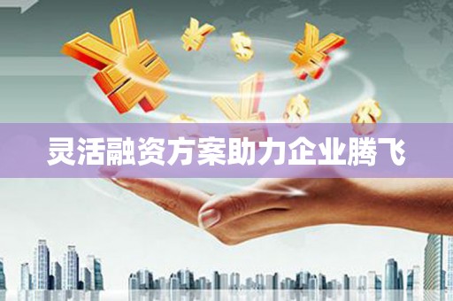 六横灵活融资方案助力企业腾飞