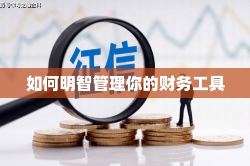 安乡如何明智管理你的财务工具