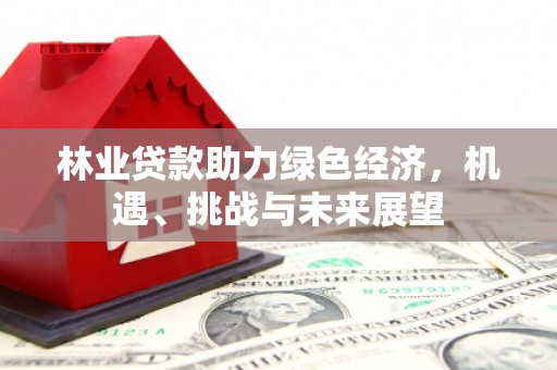 万峦林业贷款助力绿色经济，机遇、挑战与未来展望