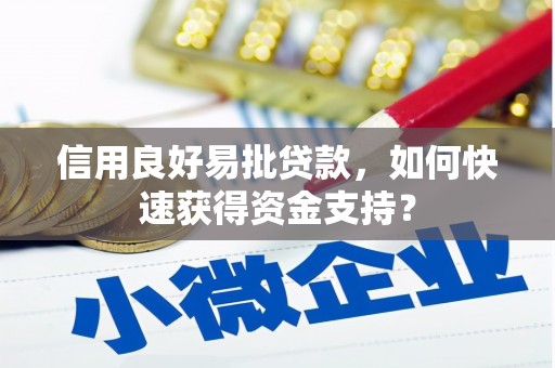 岭东信用良好易批贷款，如何快速获得资金支持？