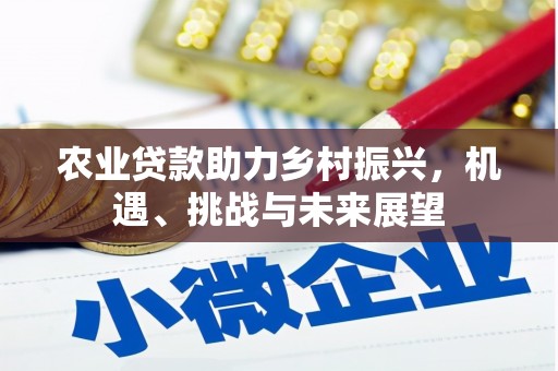隆回农业贷款助力乡村振兴，机遇、挑战与未来展望