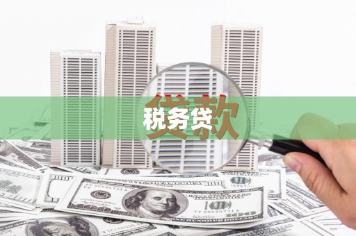 松溪税务贷