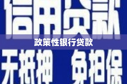 张家界政策性银行贷款