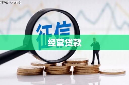竹崎经营贷款