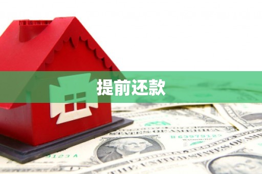 上林提前还款
