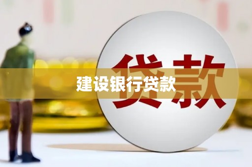 新园建设银行贷款