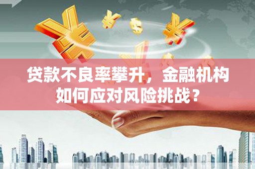 通海贷款不良率攀升，金融机构如何应对风险挑战？