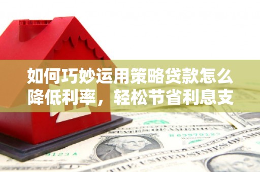 新晃如何巧妙运用策略贷款怎么降低利率，轻松节省利息支出
