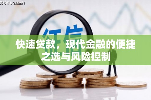 泌阳快速贷款，现代金融的便捷之选与风险控制