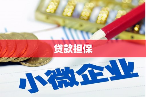 东乌旗贷款担保