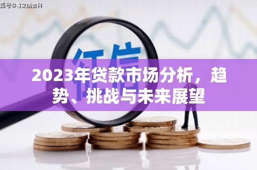 顺河2023年贷款市场分析，趋势、挑战与未来展望