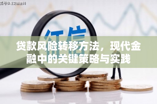 石龙贷款风险转移方法，现代金融中的关键策略与实践