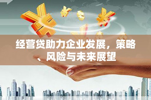 玉田经营贷助力企业发展，策略、风险与未来展望