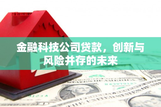 金阳金融科技公司贷款，创新与风险并存的未来