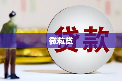 英德微粒贷