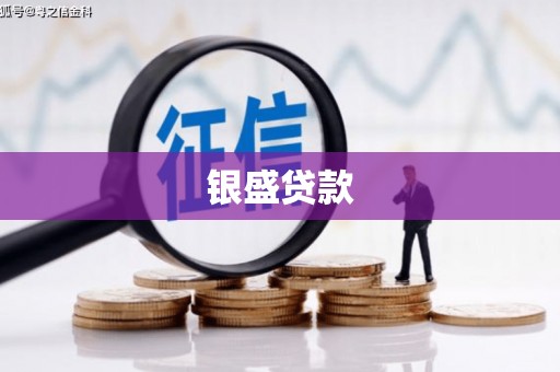武胜银盛贷款