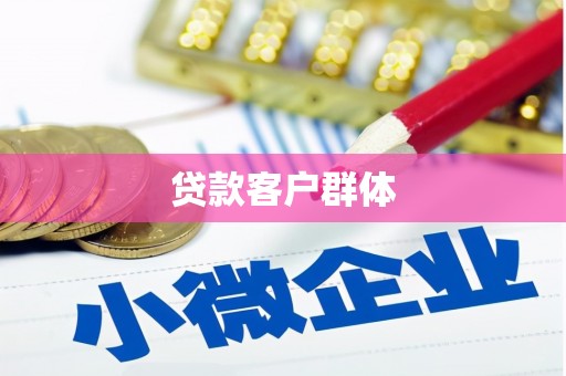 沙湾贷款客户群体