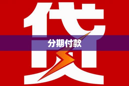 津南分期付款