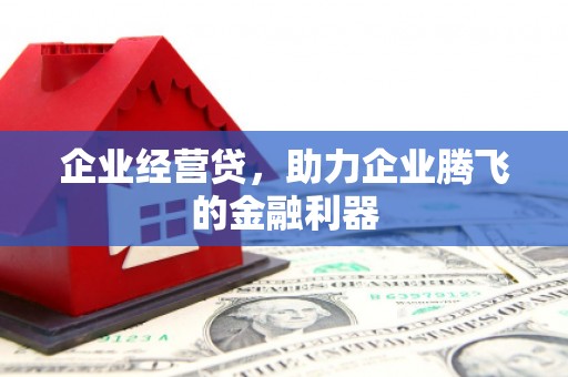 泗县企业经营贷，助力企业腾飞的金融利器