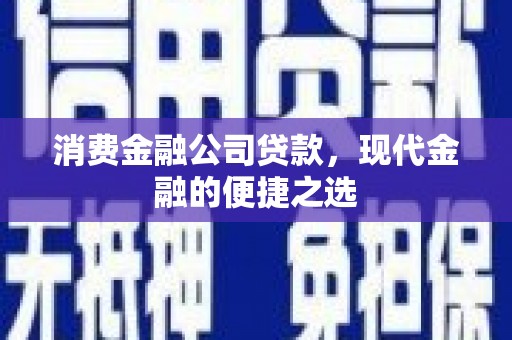 海东消费金融公司贷款，现代金融的便捷之选