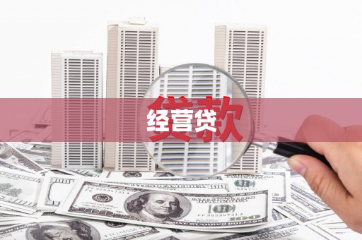 林甸经营贷