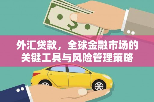 蓬江外汇贷款，全球金融市场的关键工具与风险管理策略