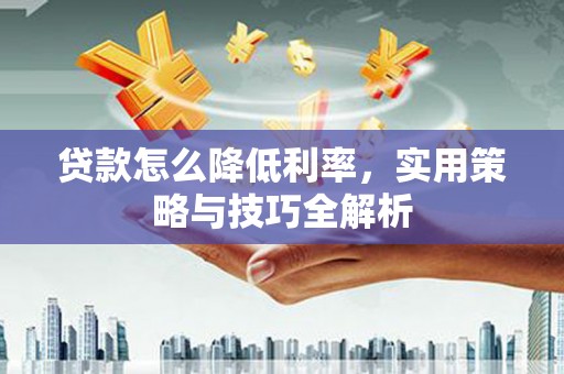 庄浪贷款怎么降低利率，实用策略与技巧全解析