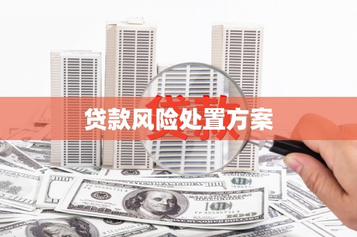 罗山贷款风险处置方案