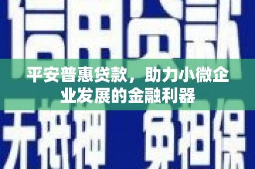 龙凤平安普惠贷款，助力小微企业发展的金融利器