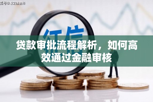 红星贷款审批流程解析，如何高效通过金融审核