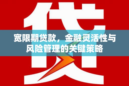 潭子宽限期贷款，金融灵活性与风险管理的关键策略