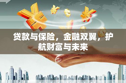 赵县贷款与保险，金融双翼，护航财富与未来