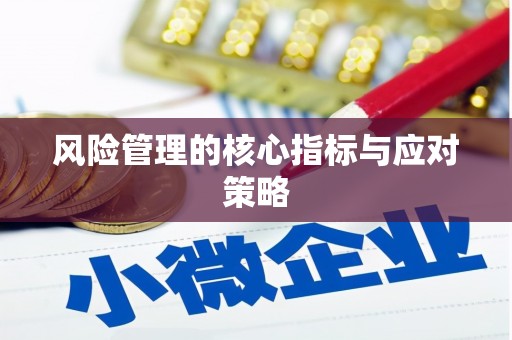 板桥风险管理的核心指标与应对策略