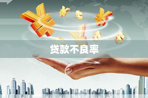 周宁贷款不良率