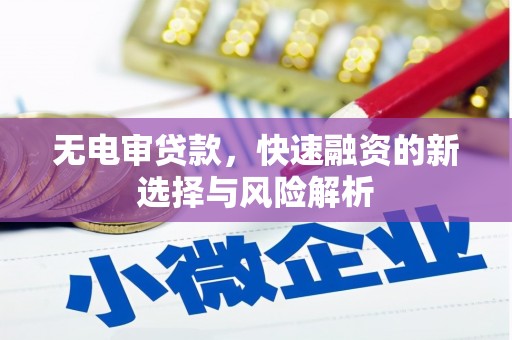 丰县无电审贷款，快速融资的新选择与风险解析
