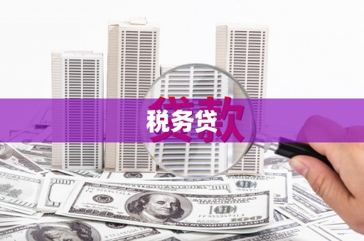 福兴税务贷