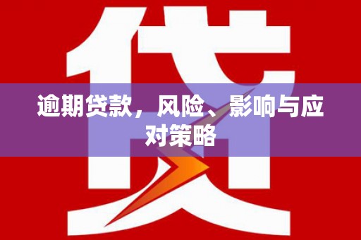 施秉逾期贷款，风险、影响与应对策略