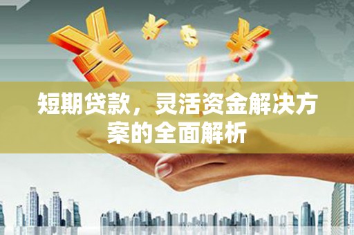 尖扎短期贷款，灵活资金解决方案的全面解析