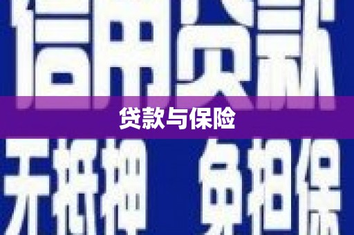 埤头贷款与保险