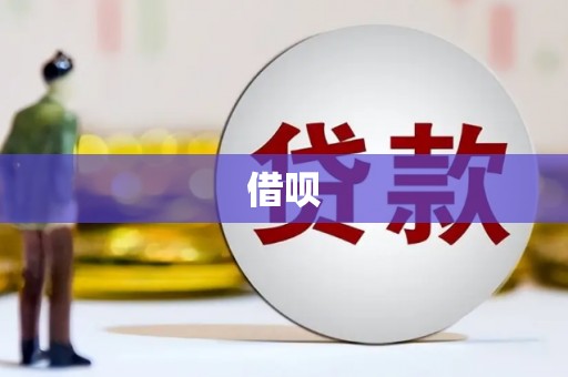 龙泉驿借呗