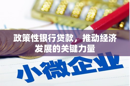 站前政策性银行贷款，推动经济发展的关键力量