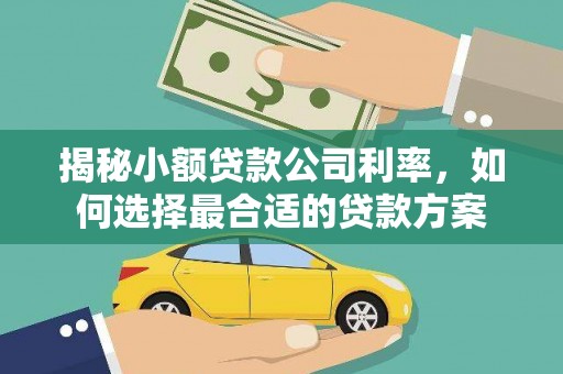 武平揭秘小额贷款公司利率，如何选择最合适的贷款方案