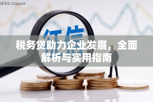 北镇税务贷助力企业发展，全面解析与实用指南